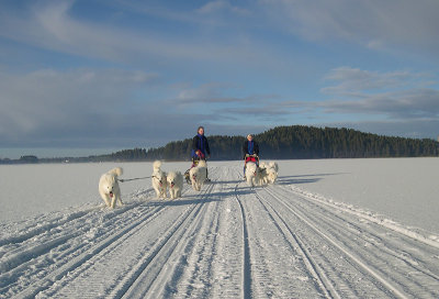 On the lake