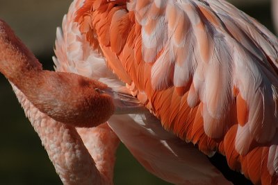 IMG_0147.JPG