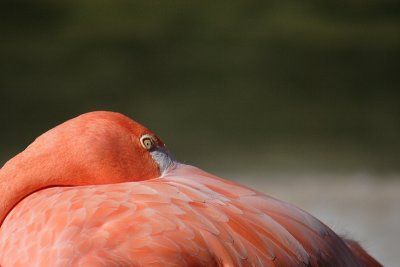 IMG_0148.JPG