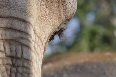IMG_0239.JPG