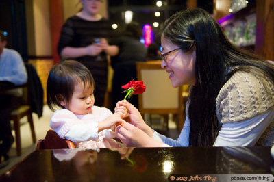 Valentine's Day Dinner