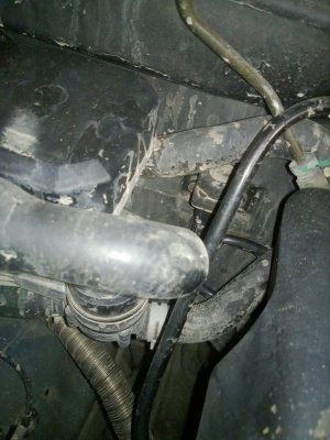 WP_20121201_013.jpg