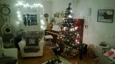 WP_20121223_002.jpg