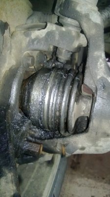 WP_20130227_001.jpg