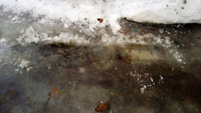 WP_20130303_003.jpg