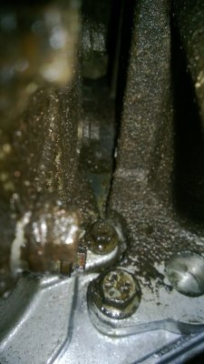 WP_20130306_017.jpg