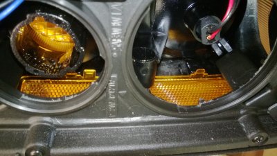 WP_20130321_006.jpg