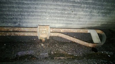 WP_20130321_036.jpg