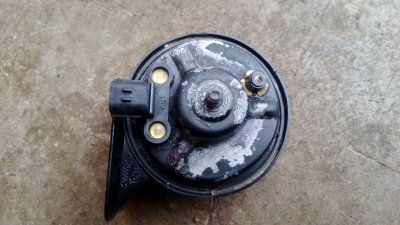 WP_20130324_002.jpg