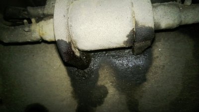 WP_20130324_018.jpg