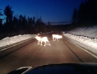WP_20130329_030.jpg