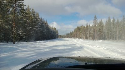 WP_20130407_012.jpg