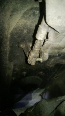 WP_20130414_002.jpg