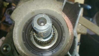 WP_20130414_016.jpg