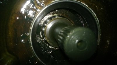 WP_20130414_028.jpg