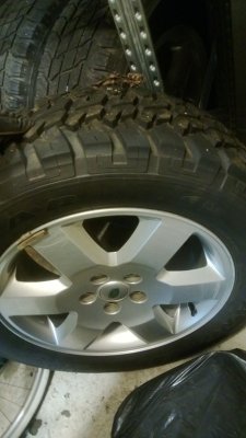 WP_20130417_008.jpg