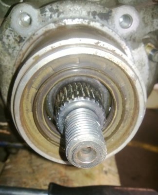 WP_20130421_005.jpg