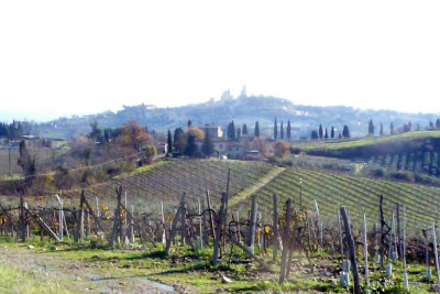 Tuscany - 3, San Gimignano in background