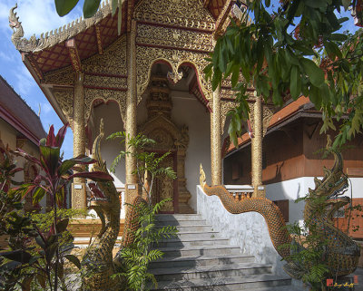 Wat Meuang Muang Phra Ubosot  (DTHCM0115)