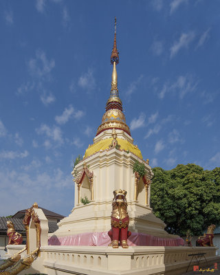 Wat Meuang Muang Phra Chedi  (DTHCM0121)