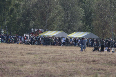 Raptor Migration Falsterbo