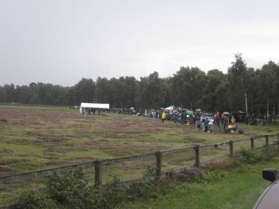 Raptor Migration Falsterbo