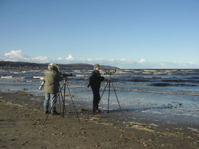 Winter birding