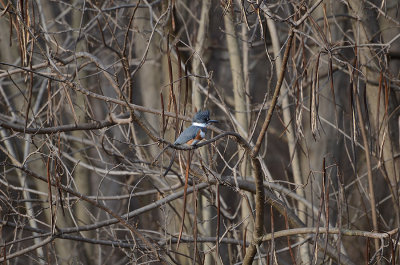 DSC_4428-full