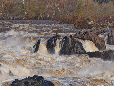 Great Falls rapids
