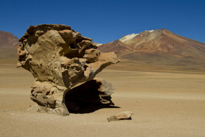 L'arbre de pierre et la montagne aux 7 couleurs. Altiplano