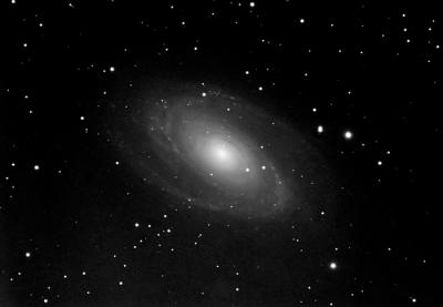 M81