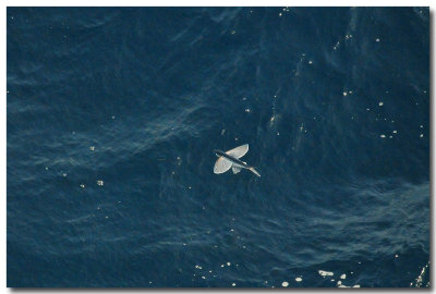 DSC_4877 copy.jpg