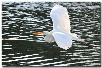 DSC_5600.jpg