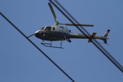 la-riv_0044-dpp_s.JPG