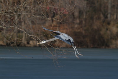 IMG_6300res.JPG