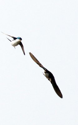 IMG_0031.jpg