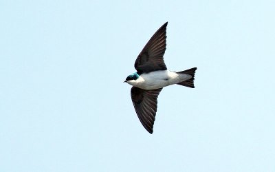 IMG_0061.jpg