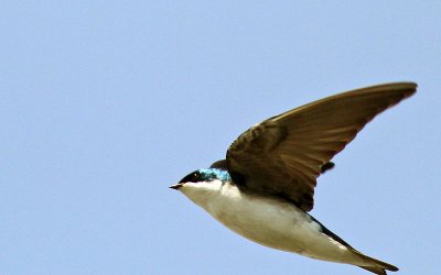 IMG_0062.jpg