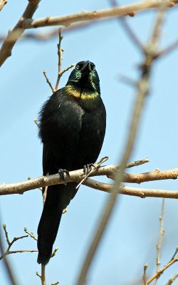 IMG_0138.jpg