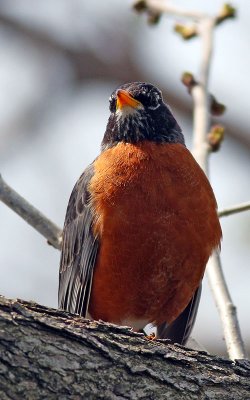 IMG_0170.jpg
