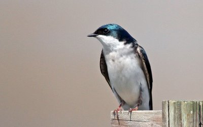 IMG_0189.jpg