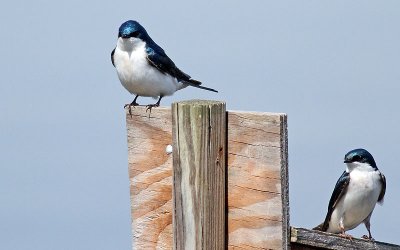 IMG_0195.jpg