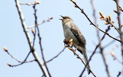 IMG_0253.jpg