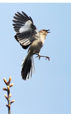 IMG_0256.jpg