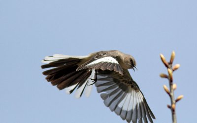 IMG_0258.jpg