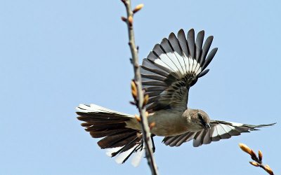 IMG_0265.jpg
