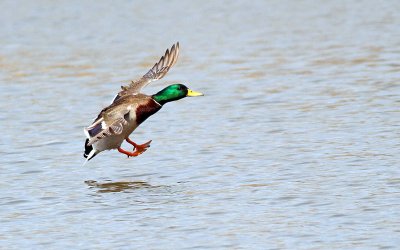 IMG_0294.jpg