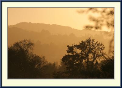 Natural sepia tone