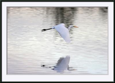 IMG_2146.jpg