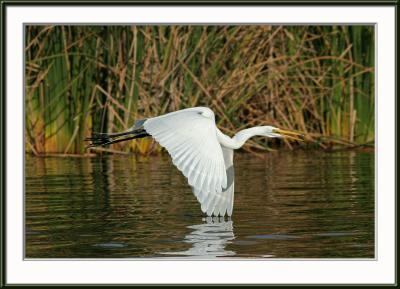 IMG_2315ps-web.jpg